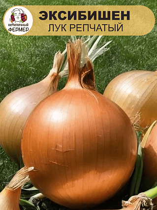 Лук репчатый Эксибишен (0,5г) НФ