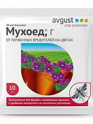 Мухоед 10 г Август