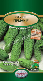 Огурец Герман F1 (12шт) Поиск