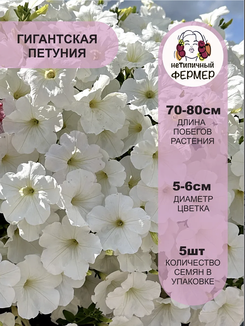 Снимок экрана 2025-12-18 в 17.42.47