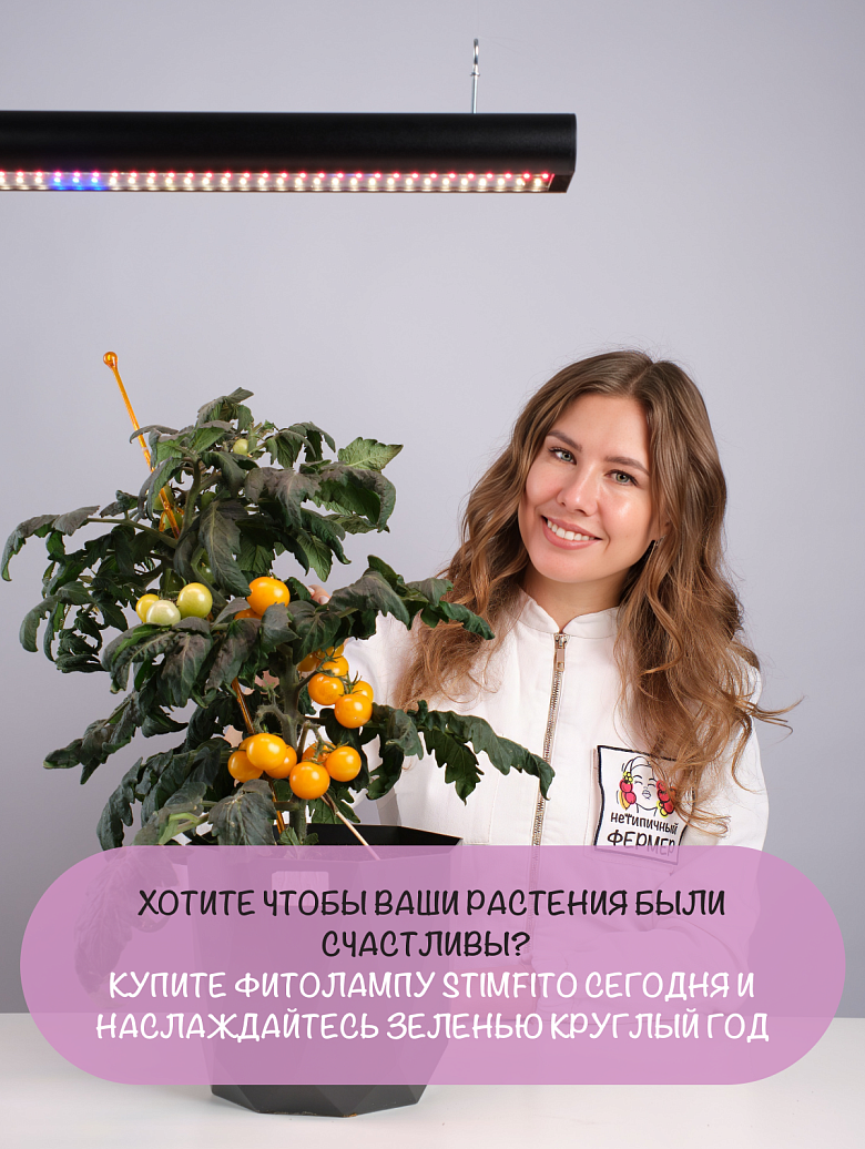 черная19