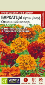 Бархатцы Френч Дварф Огненный ковер (8шт) СА