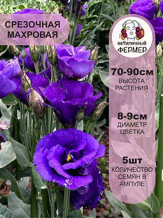 Сиреневый сад выбор Анны акининой (набор семян 14 шт.)