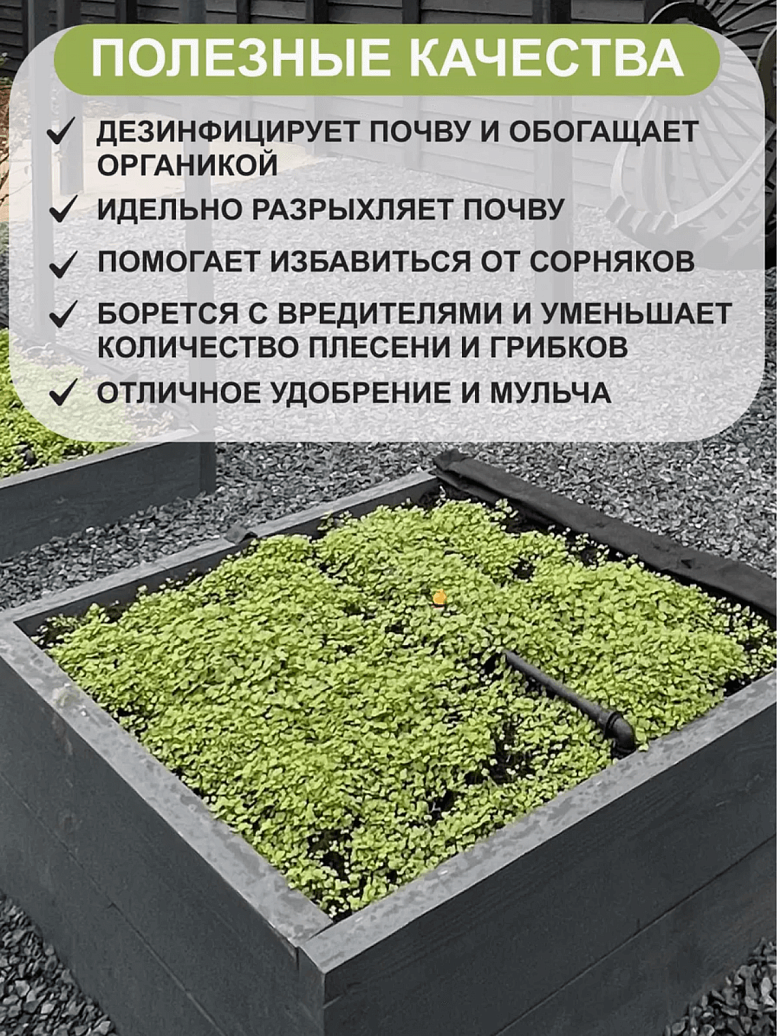 Снимок экрана 2025-09-04 в 20.42.05.png