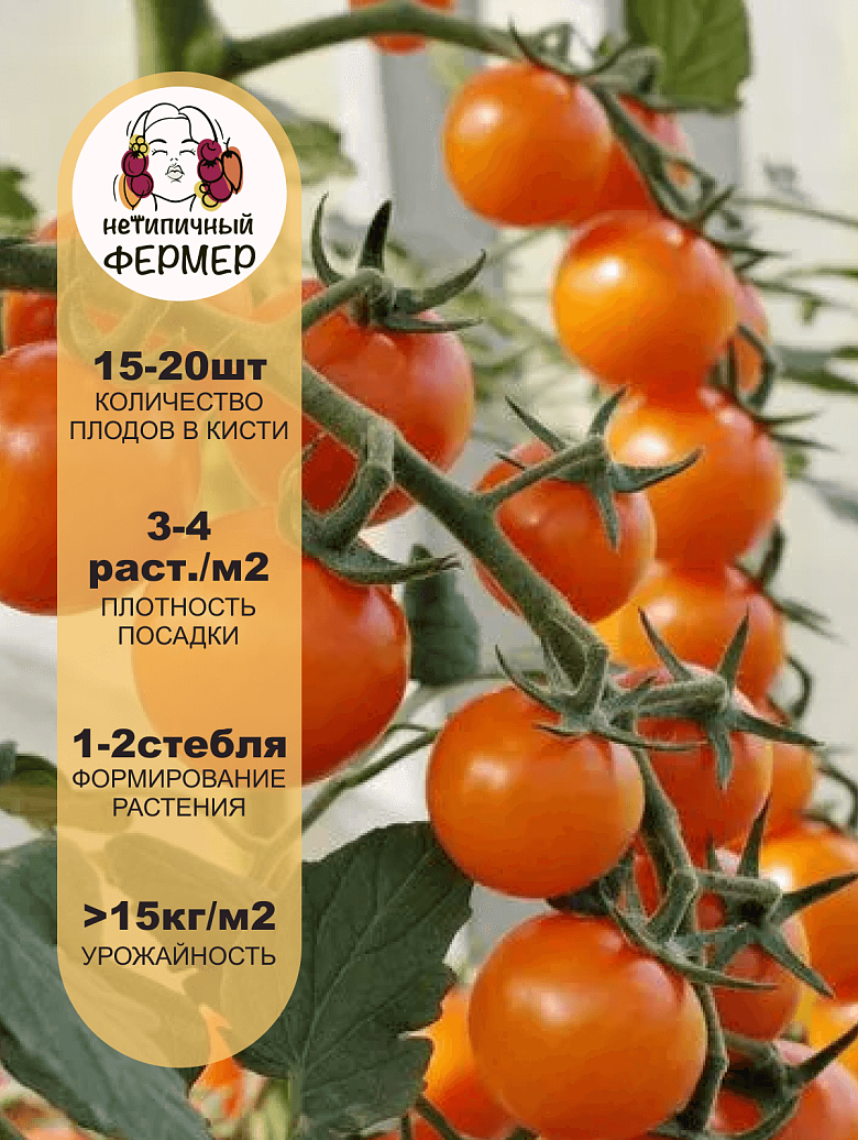 Рыжий Фермер3.png