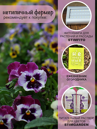 Виола набор Фризл Сизл 5 шт.