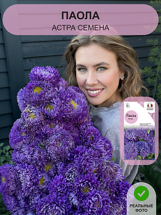 Семена астры набор 6 шт.