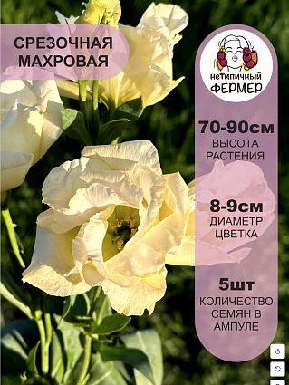 Эустомы: Бэнкс, Бриджит, Баттерфляй, Джейн, Шанталь, Найтли, Майли, пит. р-р для цветво,пробки 22х28