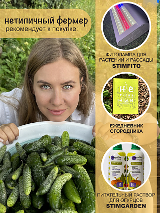 Огурец F1 Мамлюк (5шт) НФ