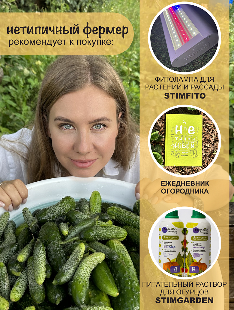 Мамлюк6 сайт