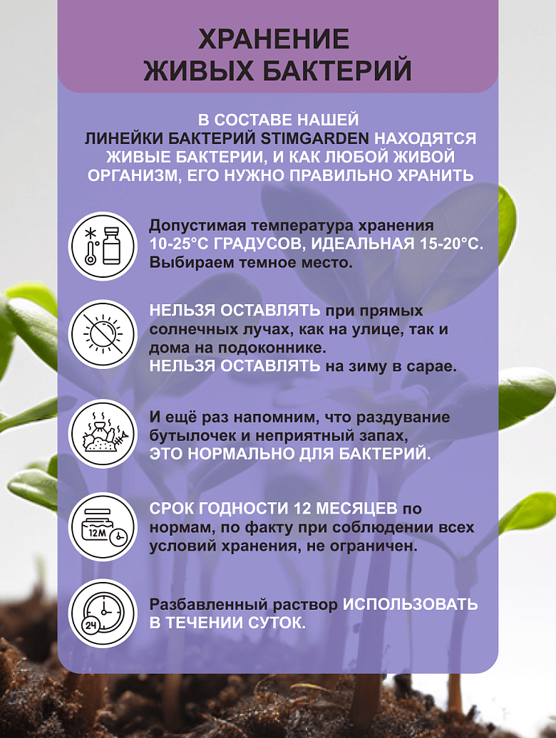 Бгрунт250-9.png