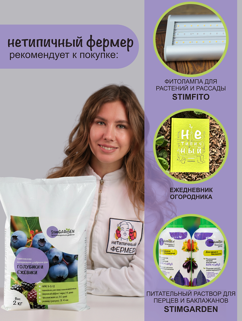 ежевика 10 сайт