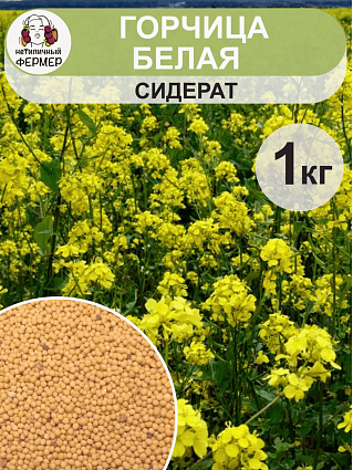 Горчица семена 1кг белая