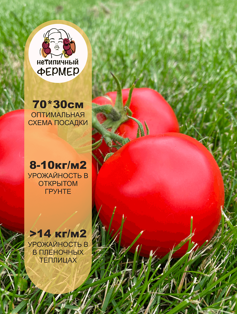 Анюта3.png