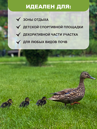 Газонная трава Канада Супергрин 5 кг