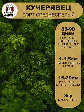 Петрушка листовая Кучерявец (3г) НФ