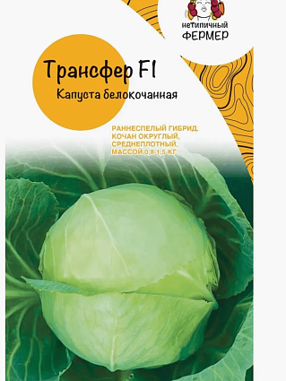 Капуста б/к Трансфер F1 (0,3г) НФ