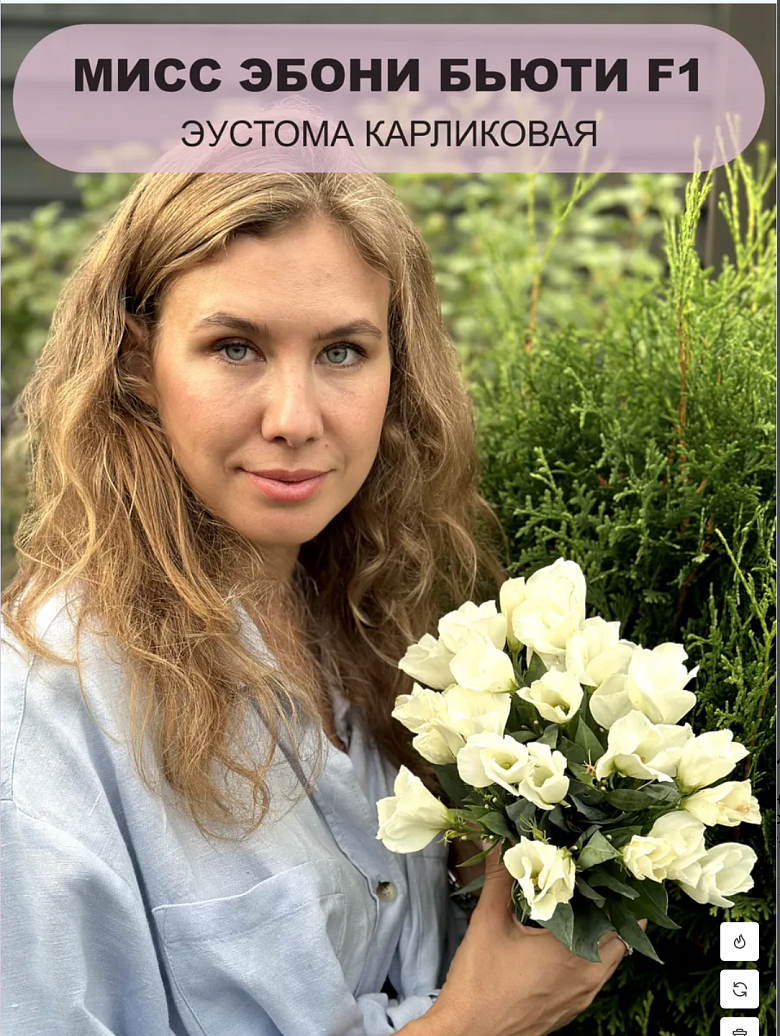 Снимок экрана 2025-12-19 в 00.14.52