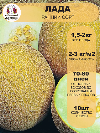 Дыня Лада (10шт) НФ