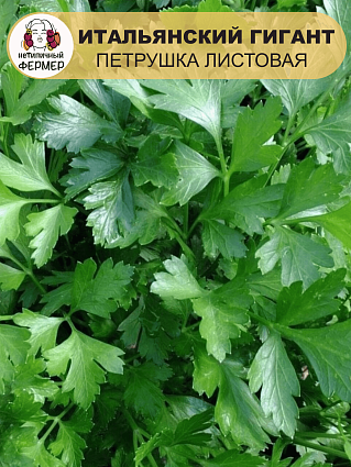 Петрушка листовая Итальянский Гигант (3г) НФ