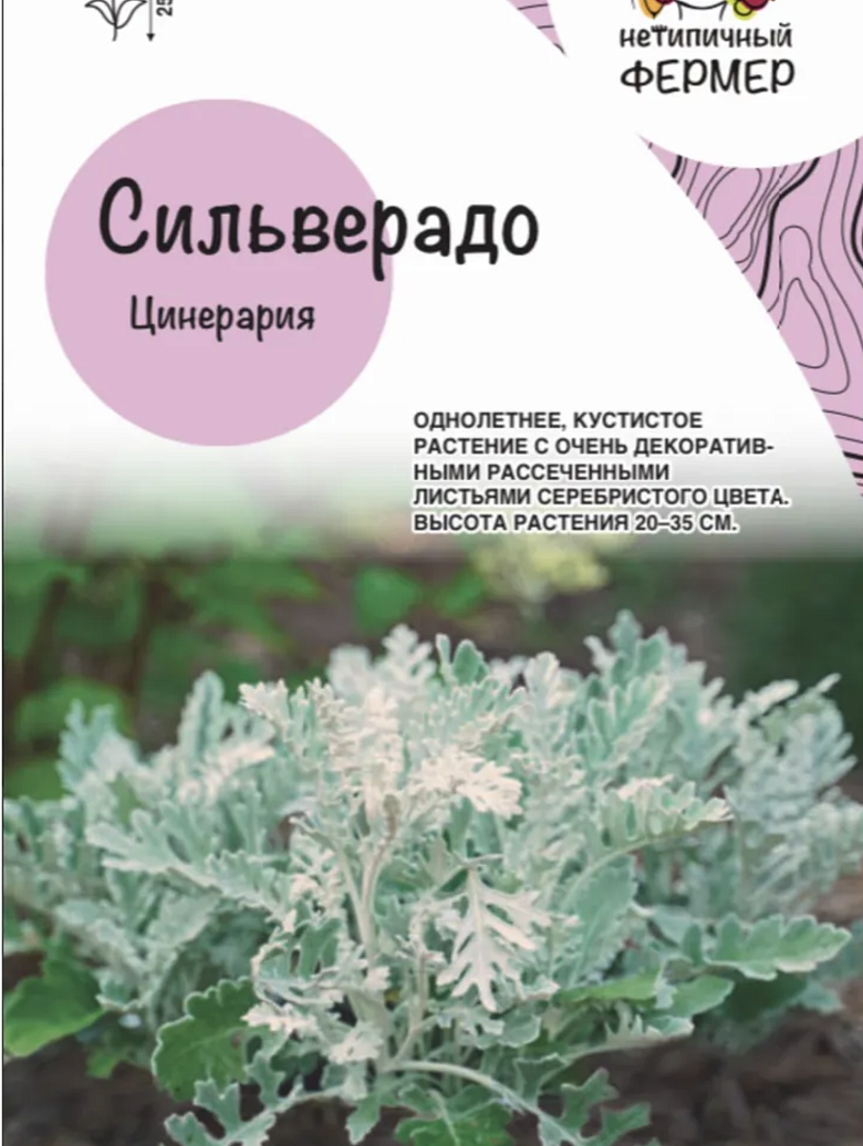 Снимок экрана 2025-12-24 в 16.59.31