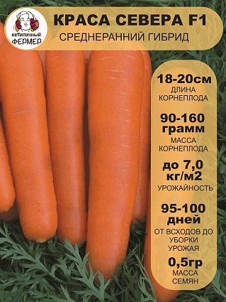 Морковь Краса Севера F1 (0,5г) НФ