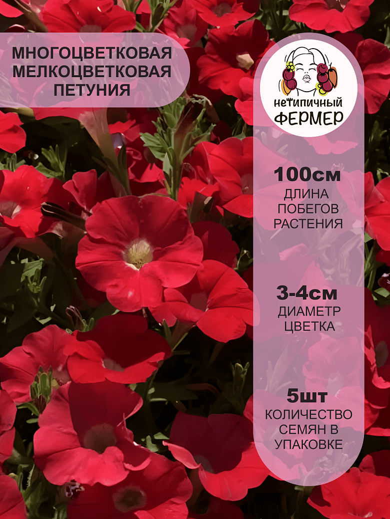 Вивьен2.png